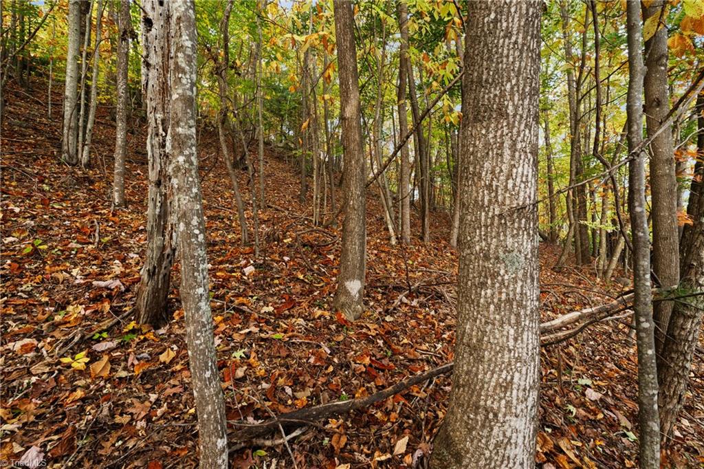 Lot 13 Ivy Ridge Road Deep Gap, NC 28618 - Photo 8 of 15 Gallery Image 8