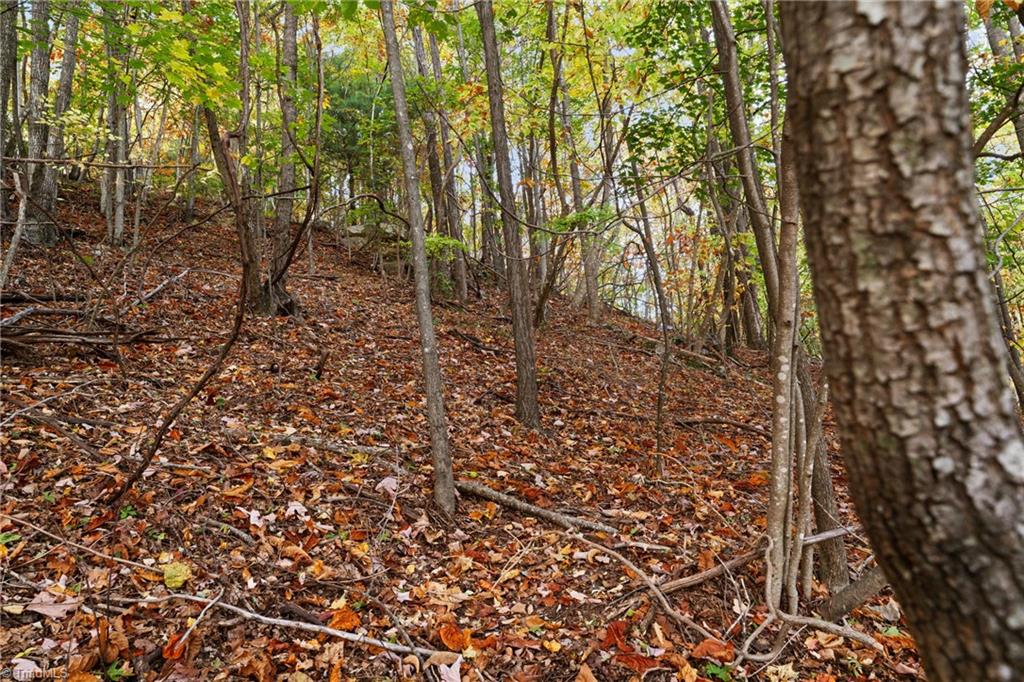Lot 13 Ivy Ridge Road Deep Gap, NC 28618 - Photo 10 of 15 Gallery Image 10