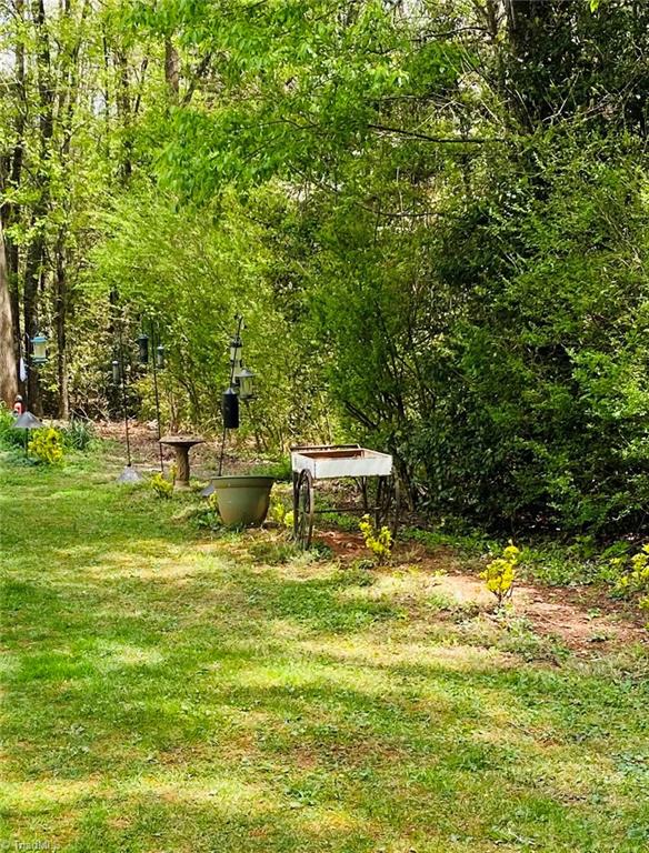 354 Shingle Gap Road Purlear, NC 28665 - Photo 3 of 37