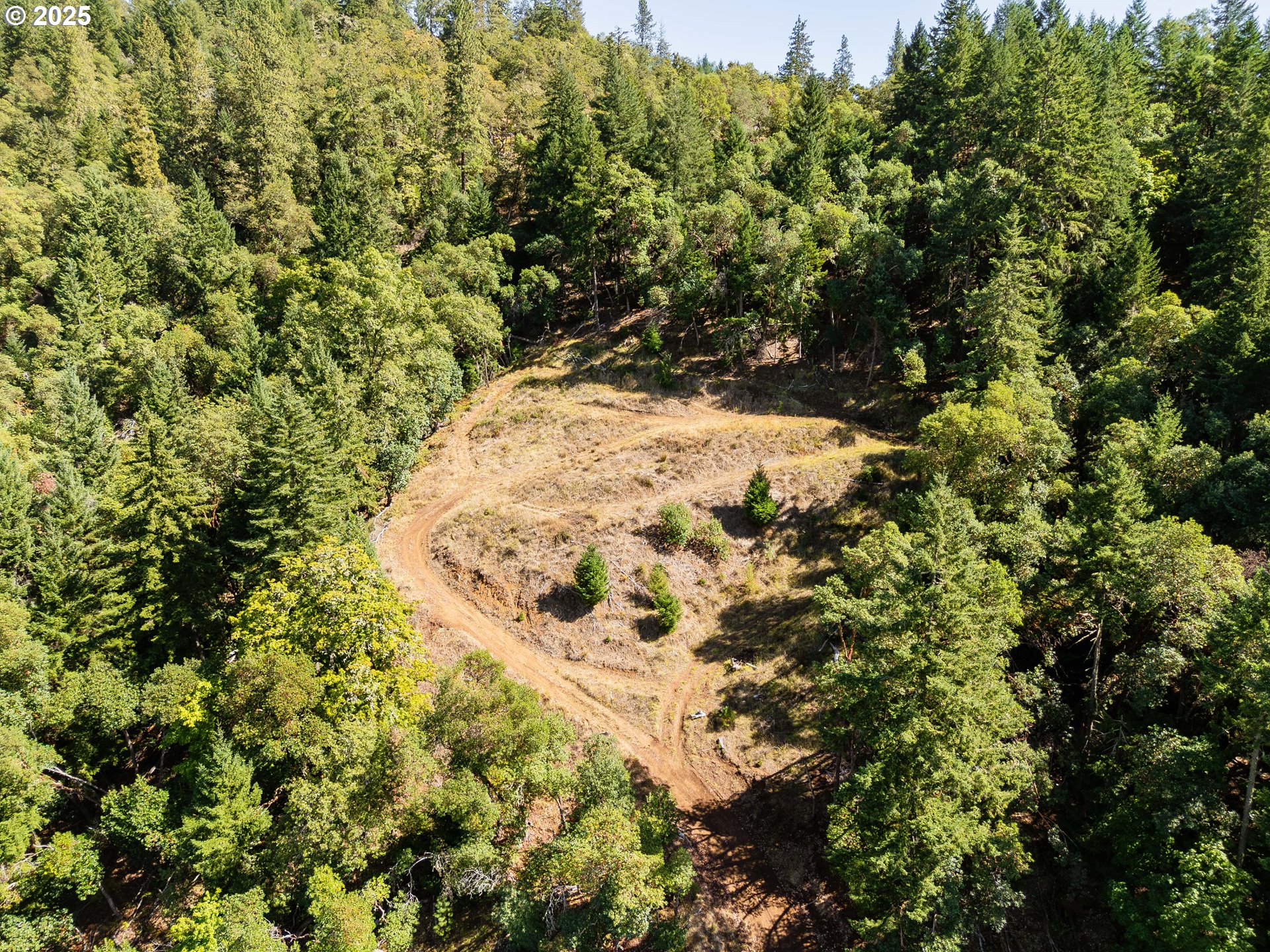 1245 Sunshine Road Roseburg, OR 97470 - Photo 11 of 26
