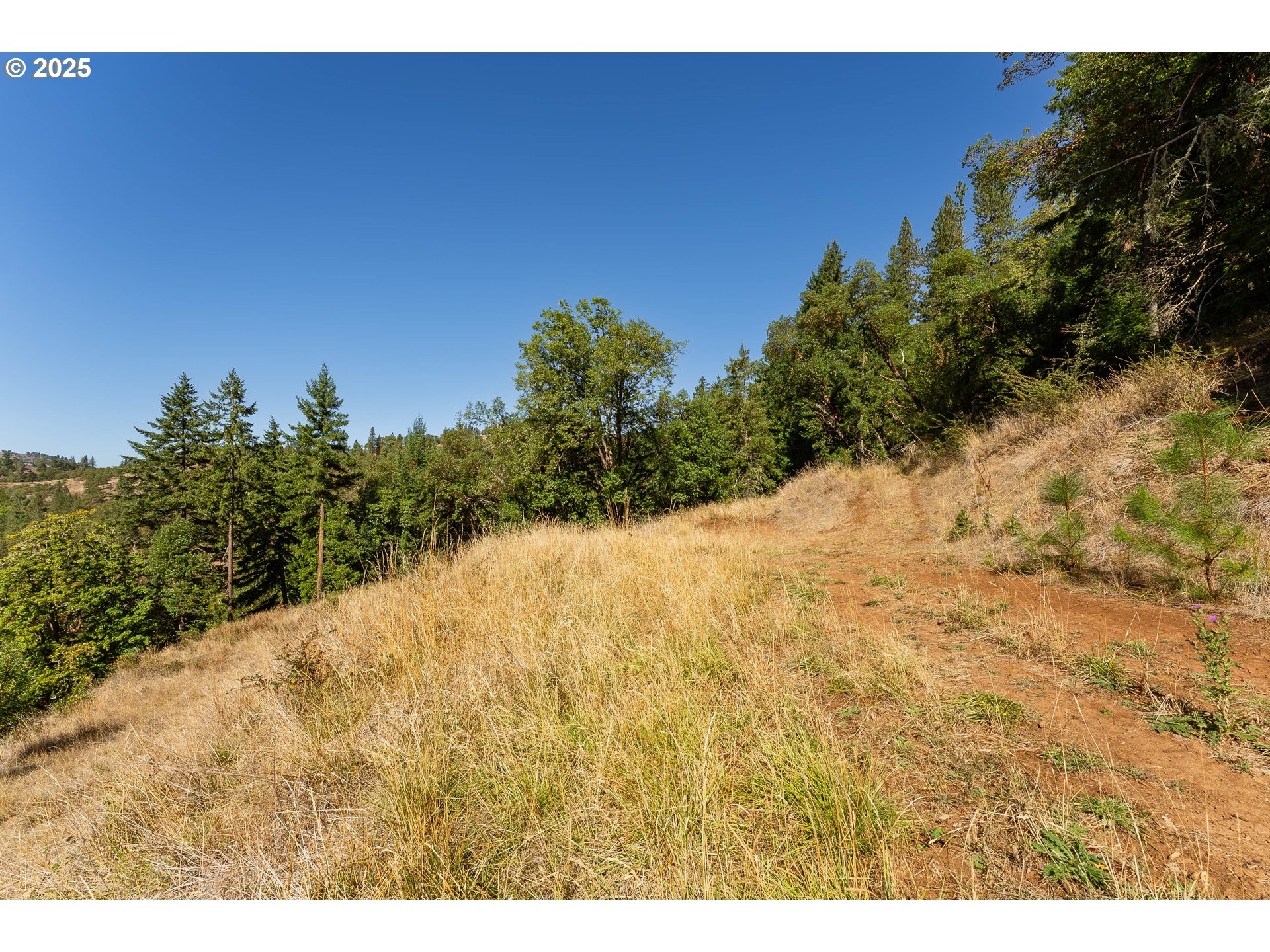 1245 Sunshine Road Roseburg, OR 97470 - Photo 16 of 26