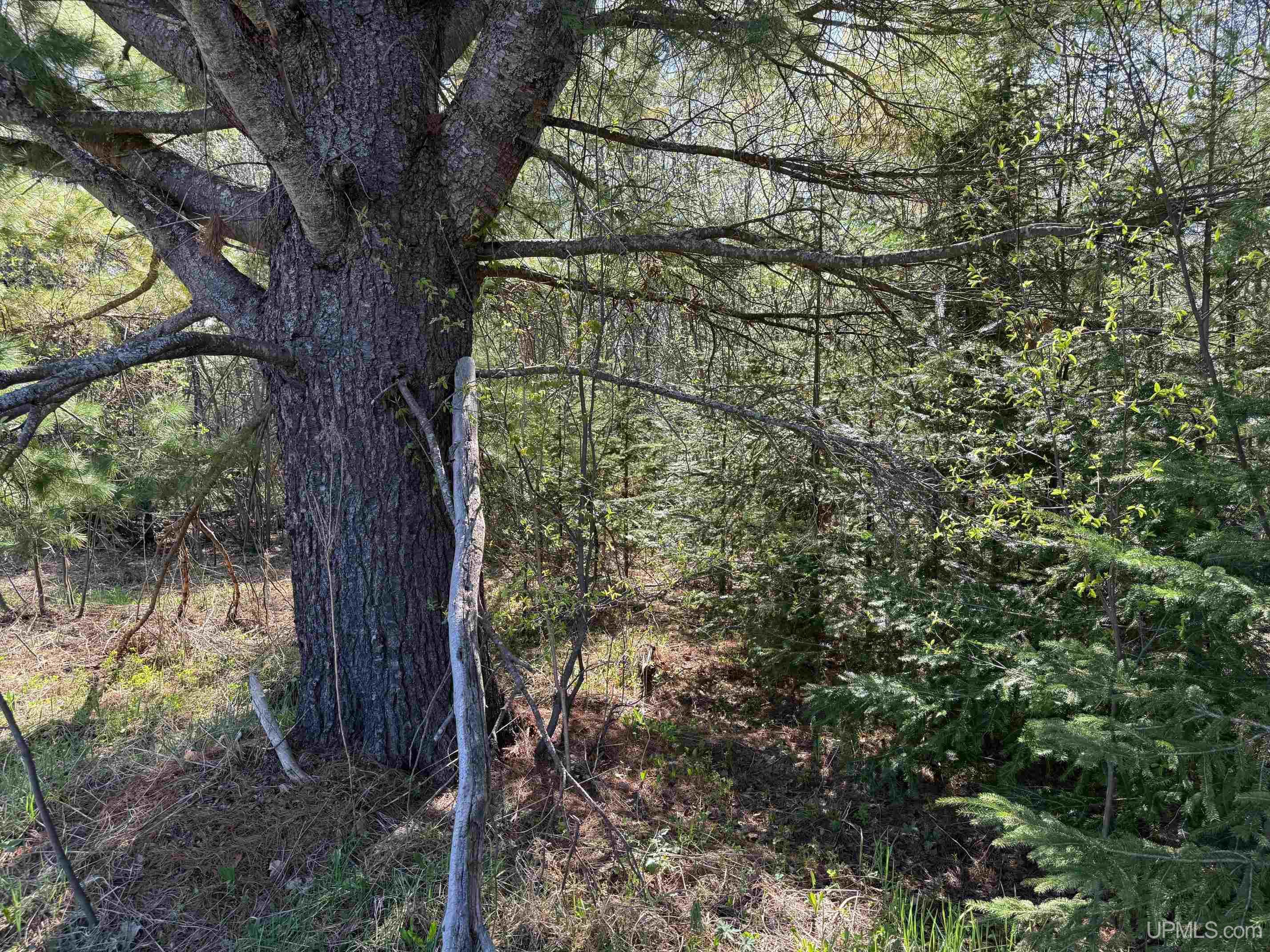 Tbd43 Tapiola Road Chassell, MI 49916 - Photo 10 of 14 Gallery Image 10