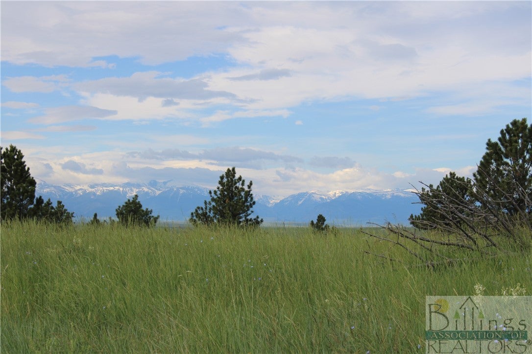 0 Shane Ridge Road Columbus, MT 59019 - Photo 1 of 1 Gallery Image 1