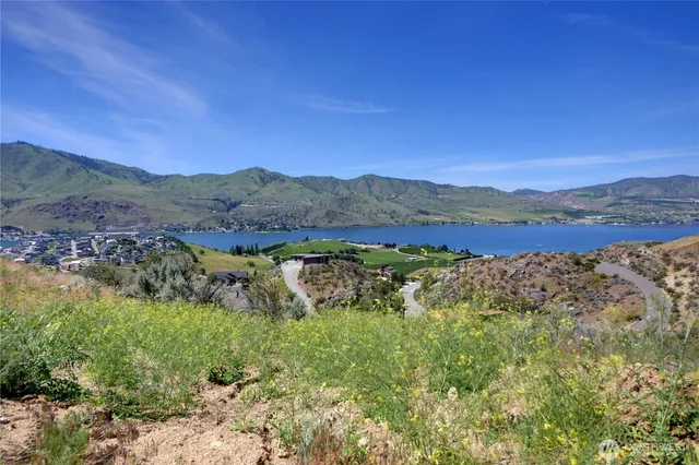 a view of a lake with a mountain in the background