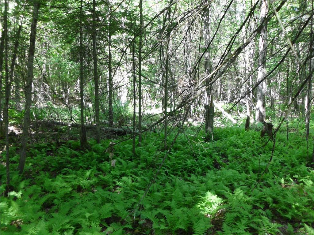 22 Davis Road Fairfield, ME 04937 - Photo 3 of 6 Photo