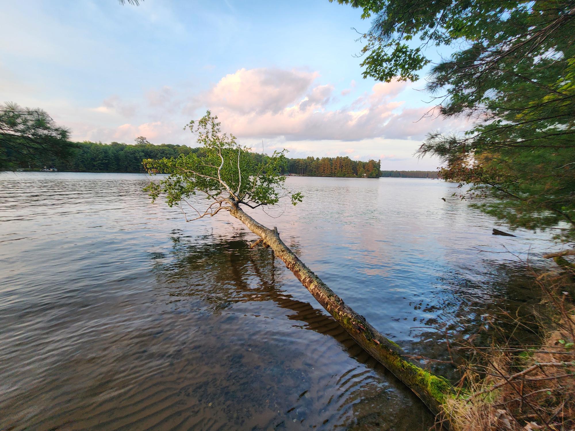 Lot 3 Big Ripley Island Minocqua, WI 54548 - Photo 16 of 20 Gallery Image 16