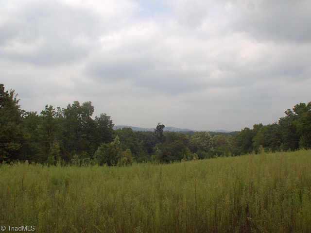 425 Needham Road Pilot Mountain, NC 27041 - Photo 1 of 1 Exterior Front. Scenic views.