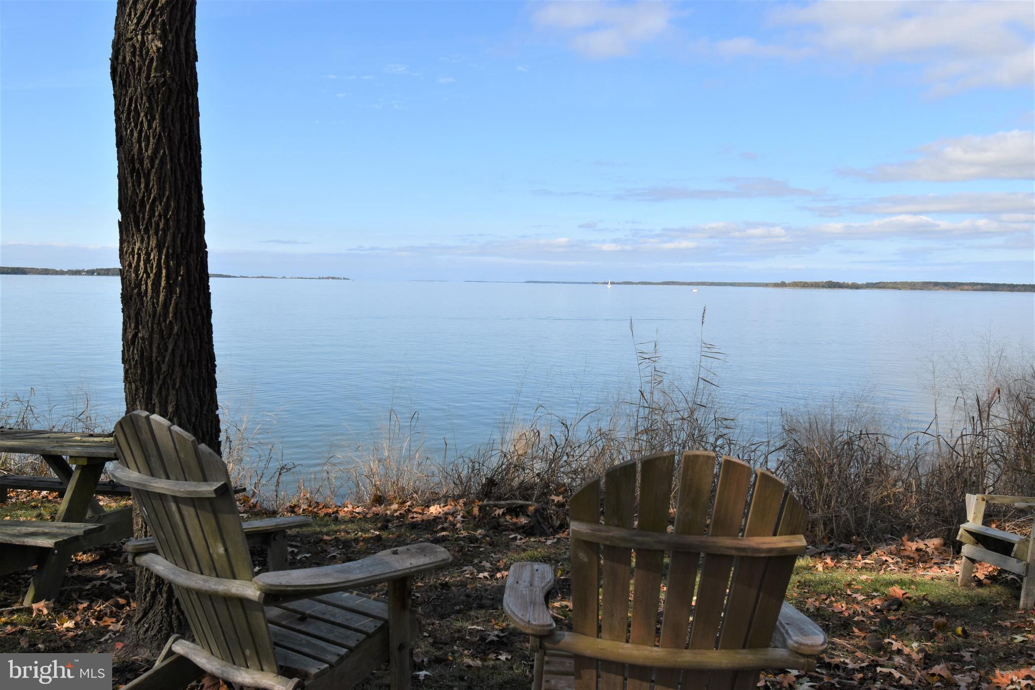 114 Riverside Drive Cambridge, MD 21613 - Photo 40 of 43 Relax by the Waterfront