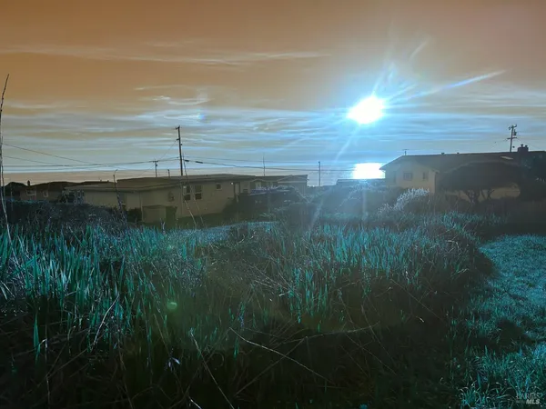 a view of a water from a yard