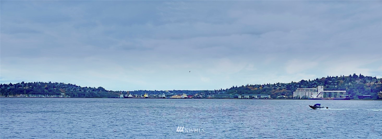 1331 Harbor Avenue Southwest, Unit 103 Seattle, WA 98116 - Photo 8 of 32 a view of lake view and mountain view