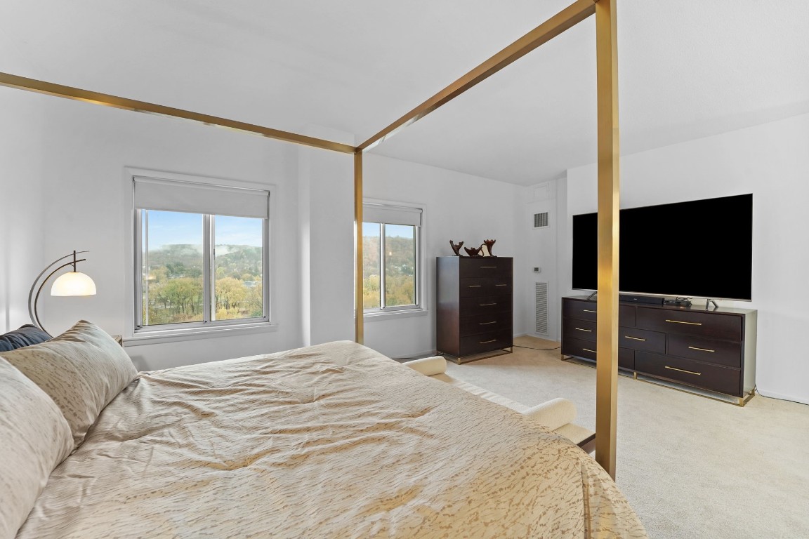 5 Riverside Drive, Unit 1102 Binghamton, NY 13905 - Photo 14 of 28