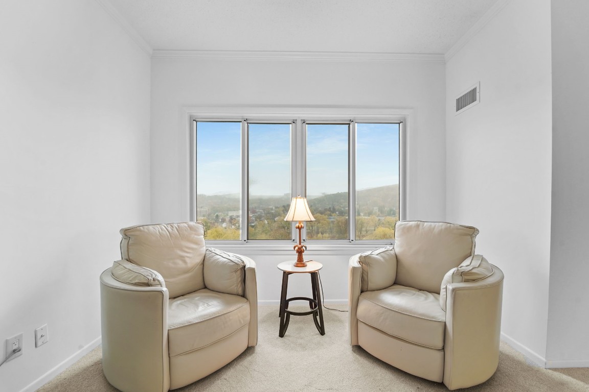 5 Riverside Drive, Unit 1102 Binghamton, NY 13905 - Photo 10 of 28