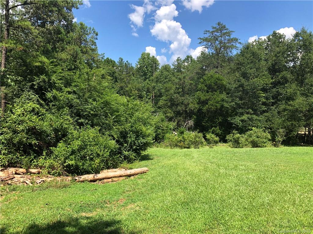 4804 Blade Run Road Edgemoor, SC 29712 - Photo 7 of 21