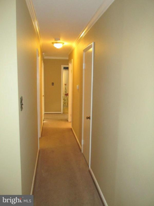 14102 Adkins Road Laurel, MD 20708 - Photo 9 of 30 Upper Hallway