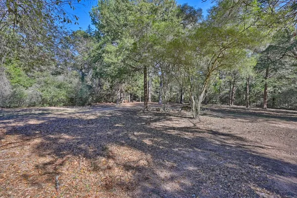 a view of backyard with green space