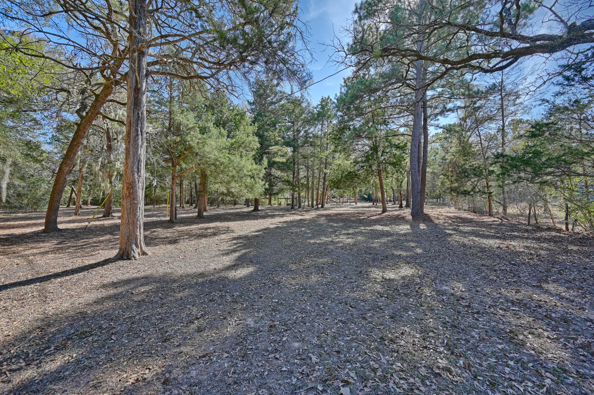 1298 Oil Patch Road New Ulm, TX 78950 - Photo 3 of 27 a view of a forest with trees