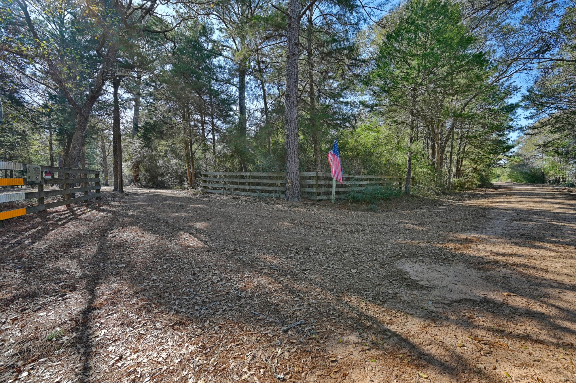 1298 Oil Patch Road New Ulm, TX 78950 - Photo 5 of 27 a view of a park with large trees