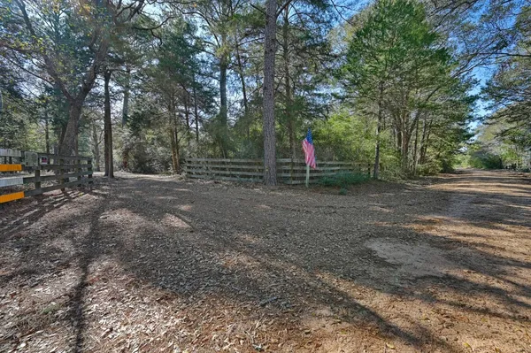 a view of a park with large trees