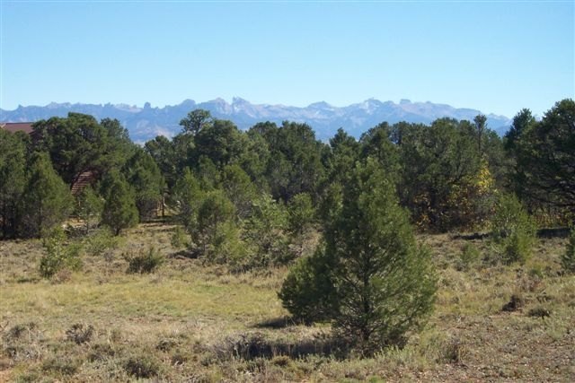 22 Loghill, Unit II Ridgway, CO 81432 - Photo 1 of 2 Primary Photo