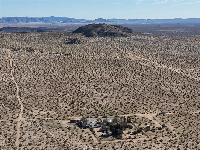 a view of a dry yard