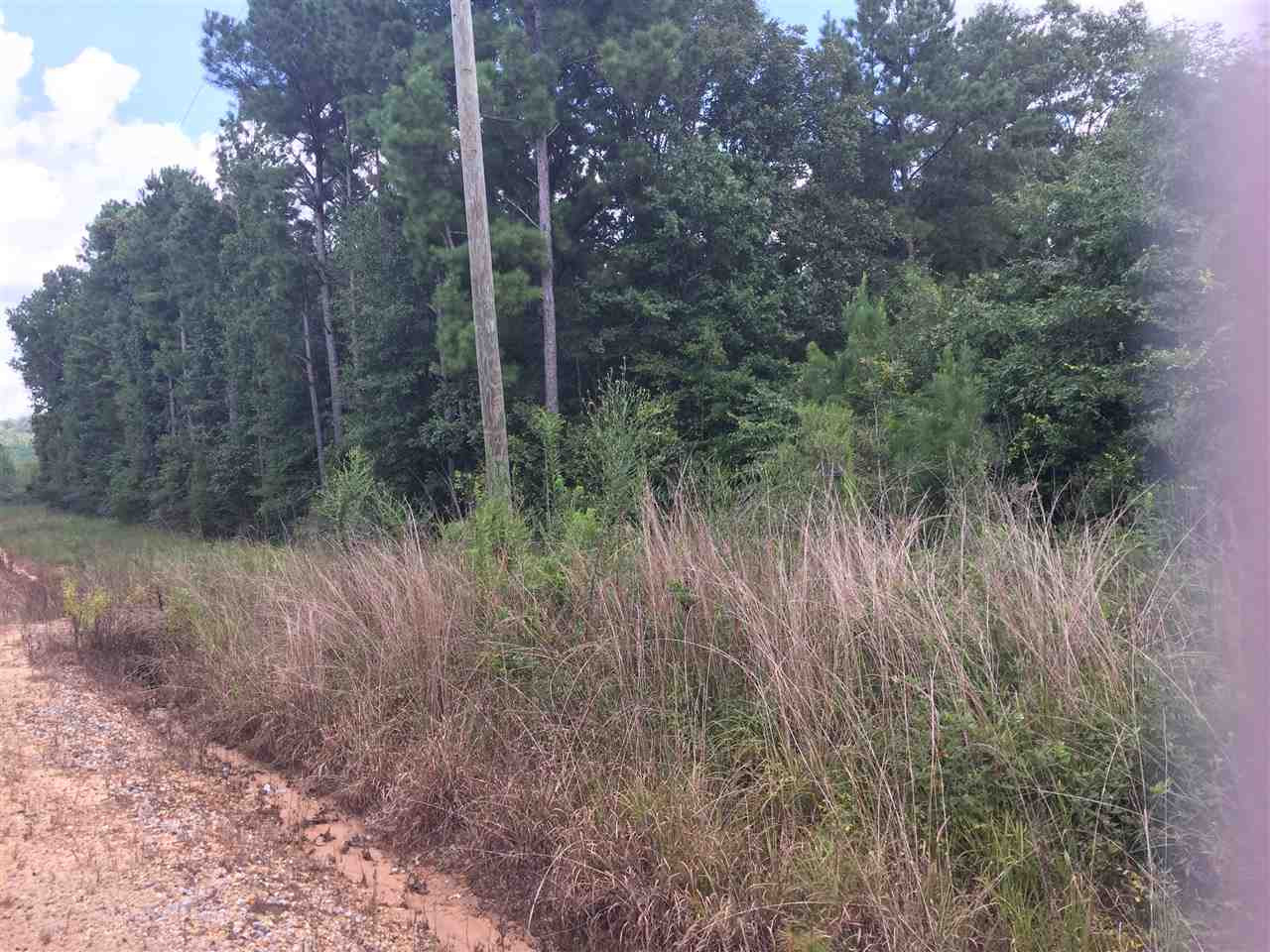 1 Sun Tower Road Lake, MS 39092 - Photo 3 of 5 Photo 3