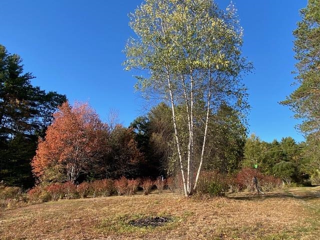 44 Pleasant View Road Bradford, NH 03221 - Photo 19 of 19 Gallery Image 19