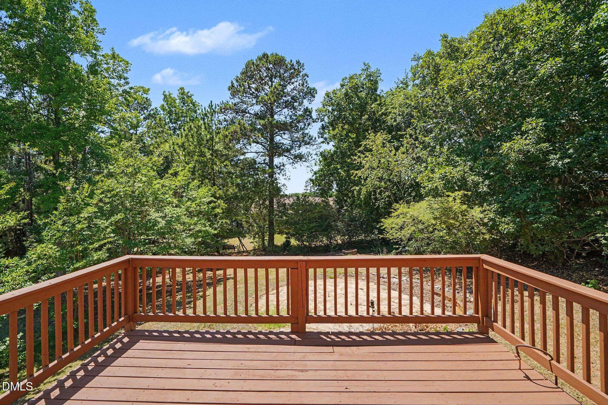 100 Ruth Ann Lane Broadway, NC 27505 - Photo 30 of 37