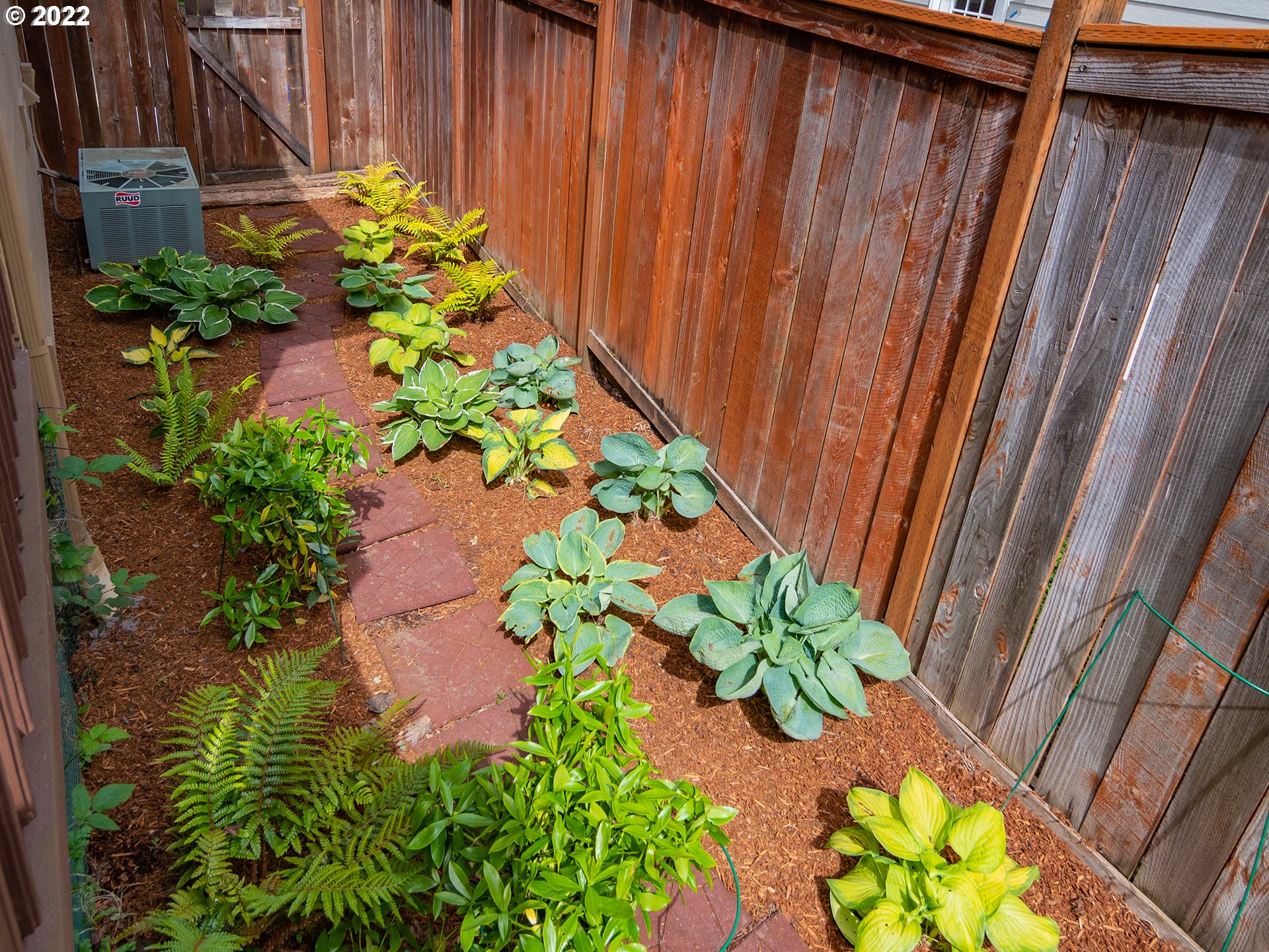 2255 33rd Street Springfield, OR 97477 - Photo 28 of 31 a plant view with a garden