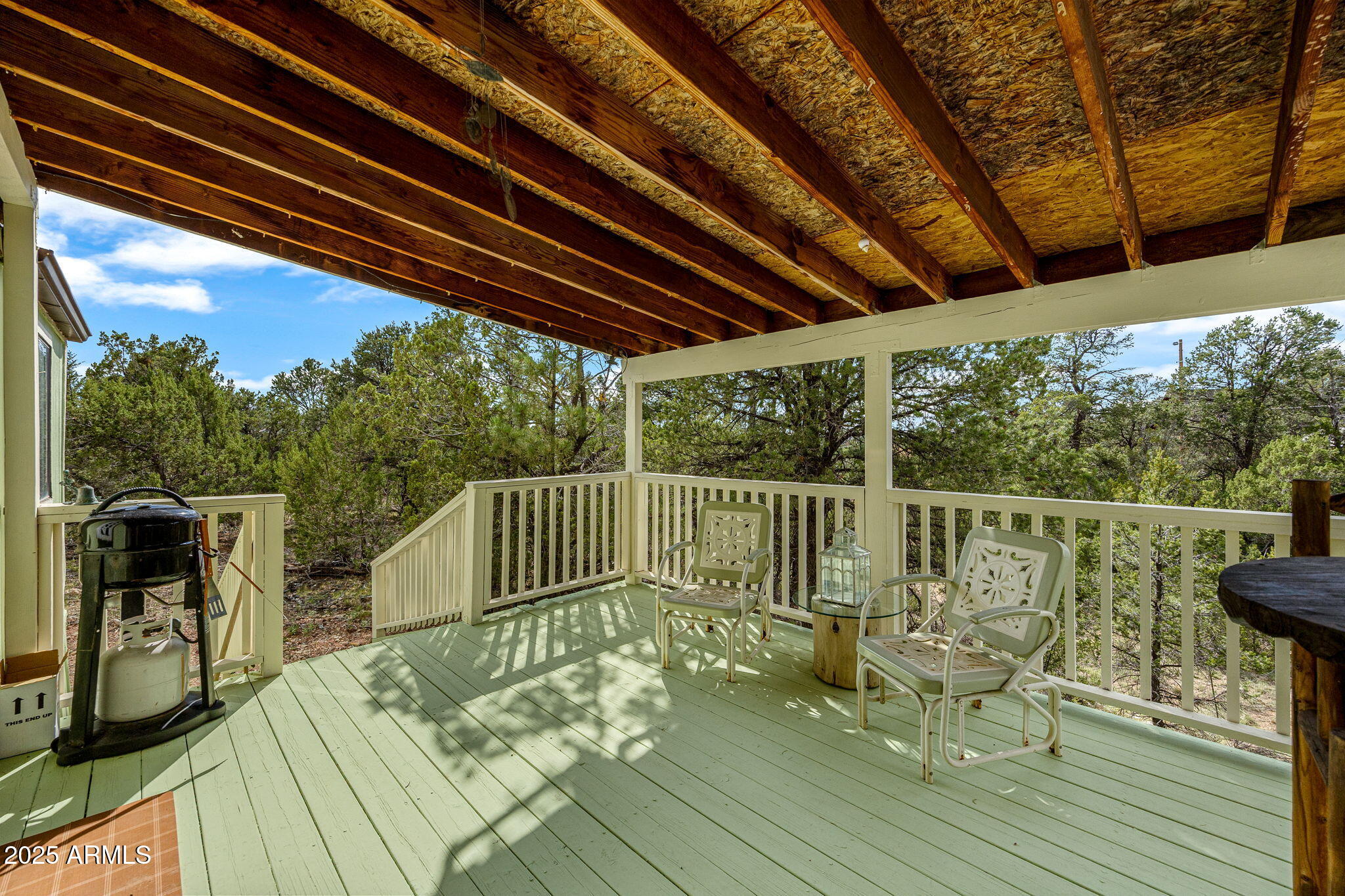 3504 Rae Circle Overgaard, AZ 85933 - Photo 5 of 30 3504RaeCir-Heber-AZ-5