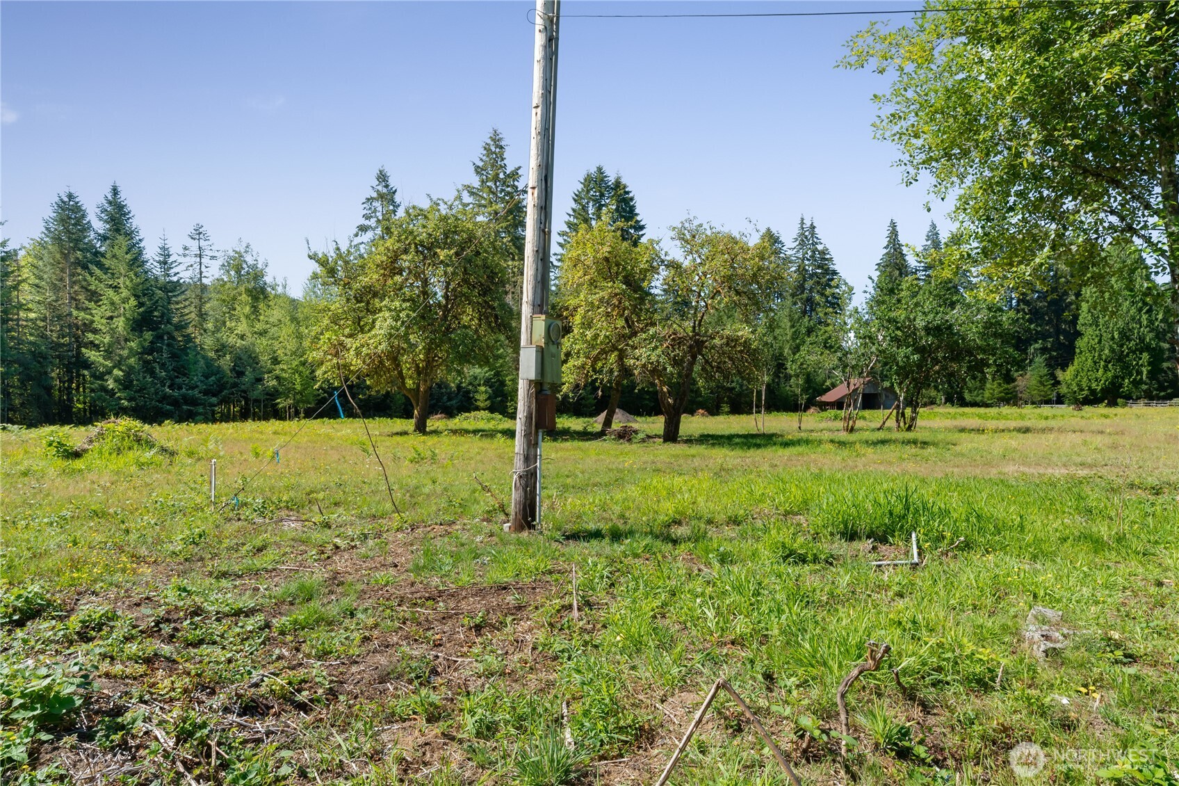38 Ray Road Elma, WA 98541 - Photo 5 of 19 Gallery Image 5