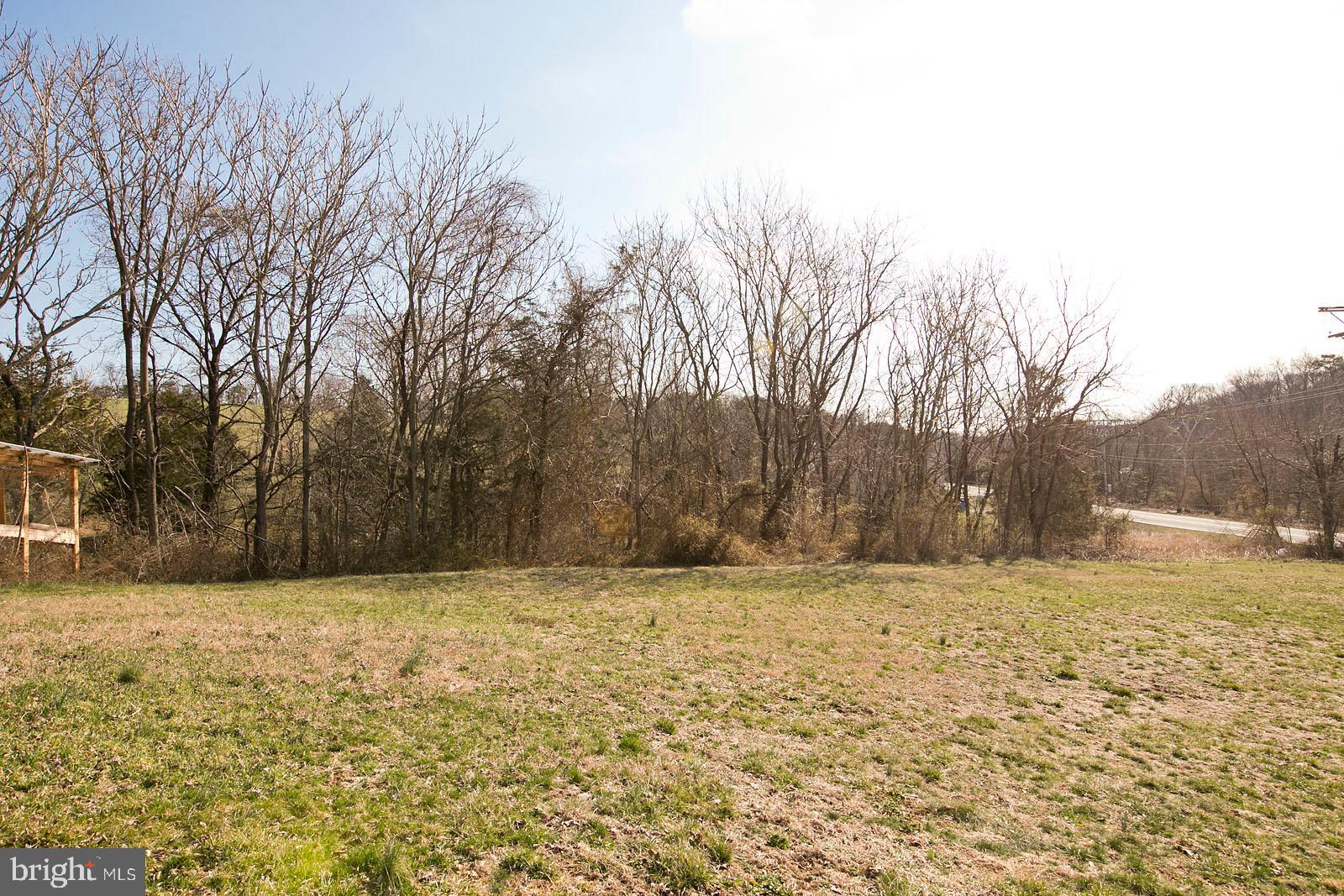 100 Rte 1288 Winchester, VA 22602 - Photo 39 of 40 Large backyard