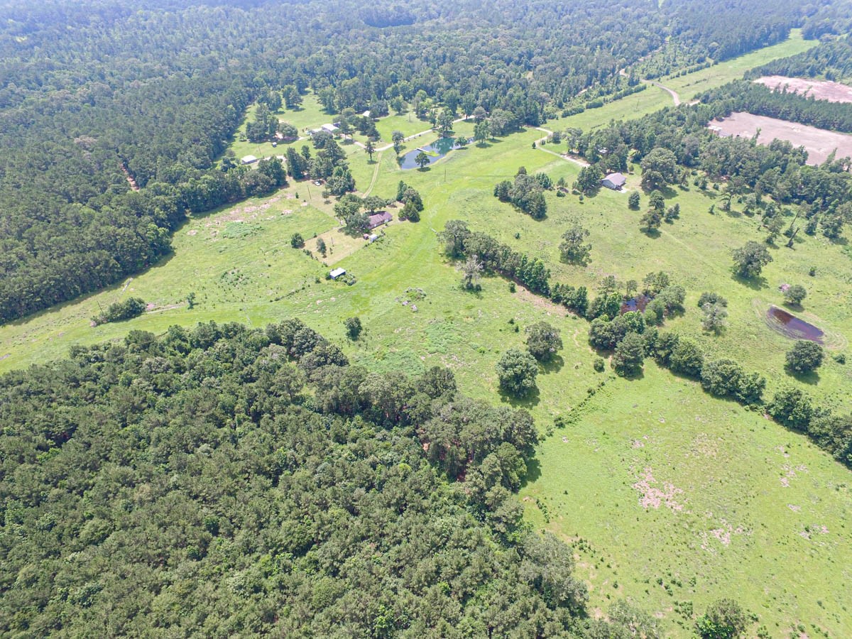 899 J Hickman Road Livingston, TX 77351 - Photo 6 of 48