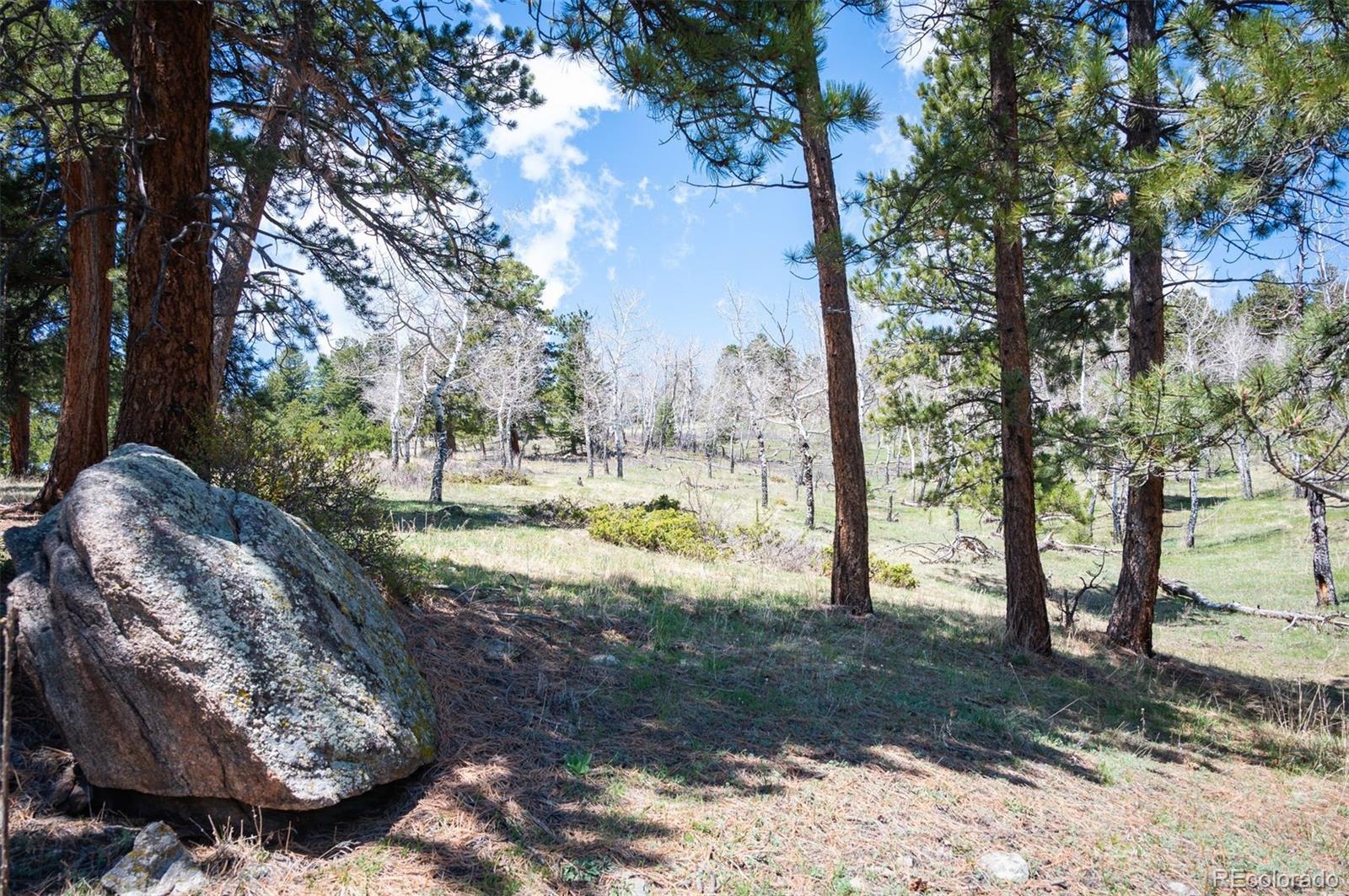 Pine Valley Road Evergreen, CO 80439 - Photo 11 of 30 a view of a tree in the middle of a yard