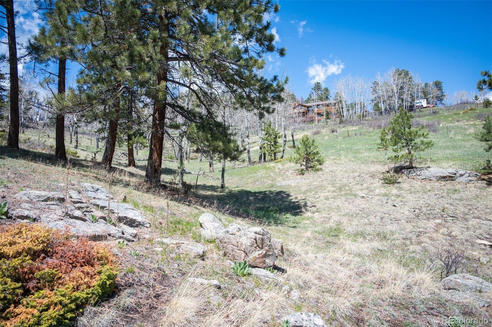 Pine Valley Road Evergreen, CO 80439 - Photo 14 of 30 a view of a yard with a tree