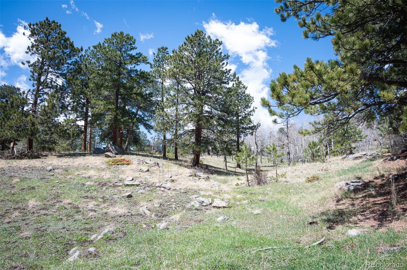 Pine Valley Road Evergreen, CO 80439 - Photo 16 of 30 a backyard of a house with large trees