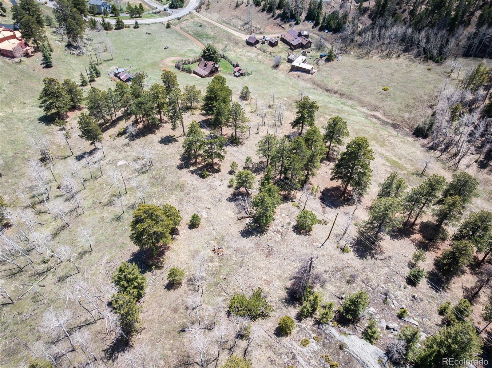 Pine Valley Road Evergreen, CO 80439 - Photo 17 of 30 a view of a yard with plants and trees