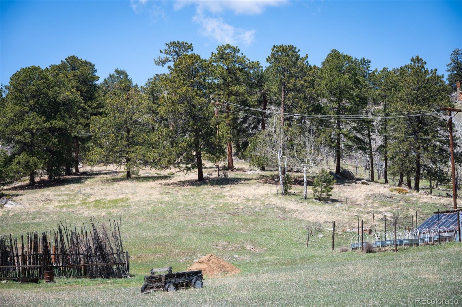 Pine Valley Road Evergreen, CO 80439 - Photo 24 of 30 a view of a park with trees