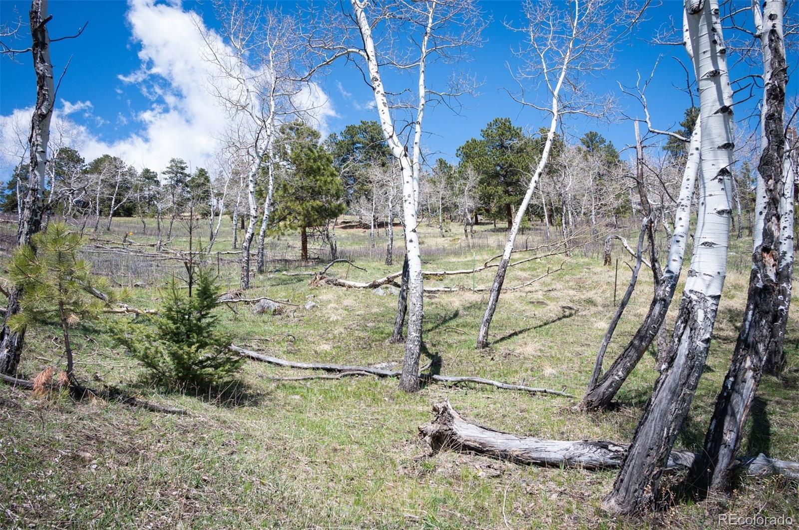 Pine Valley Road Evergreen, CO 80439 - Photo 30 of 30 a view of a yard