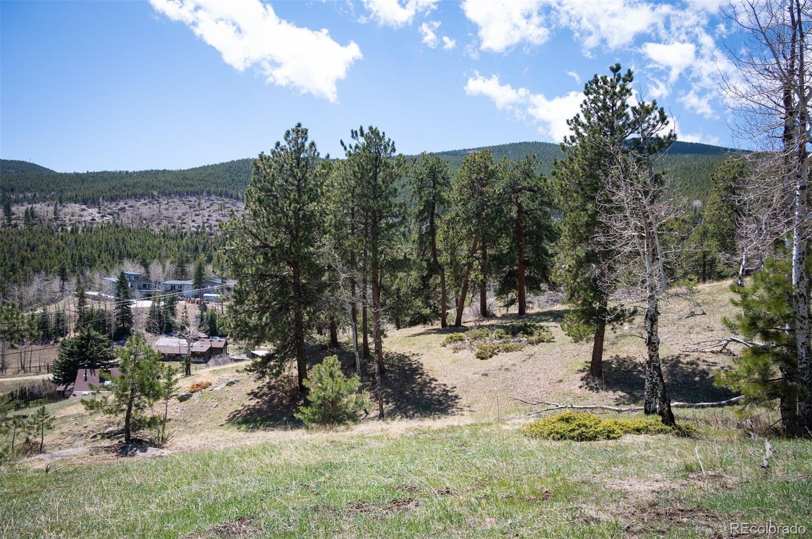Pine Valley Road Evergreen, CO 80439 - Photo 3 of 30 a view of a yard with a tree