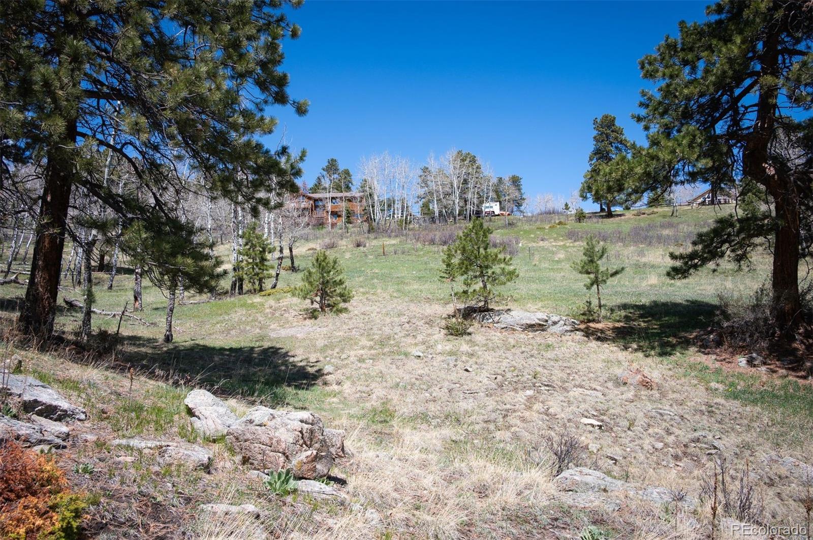 Pine Valley Road Evergreen, CO 80439 - Photo 4 of 30 a view of a yard with a tree