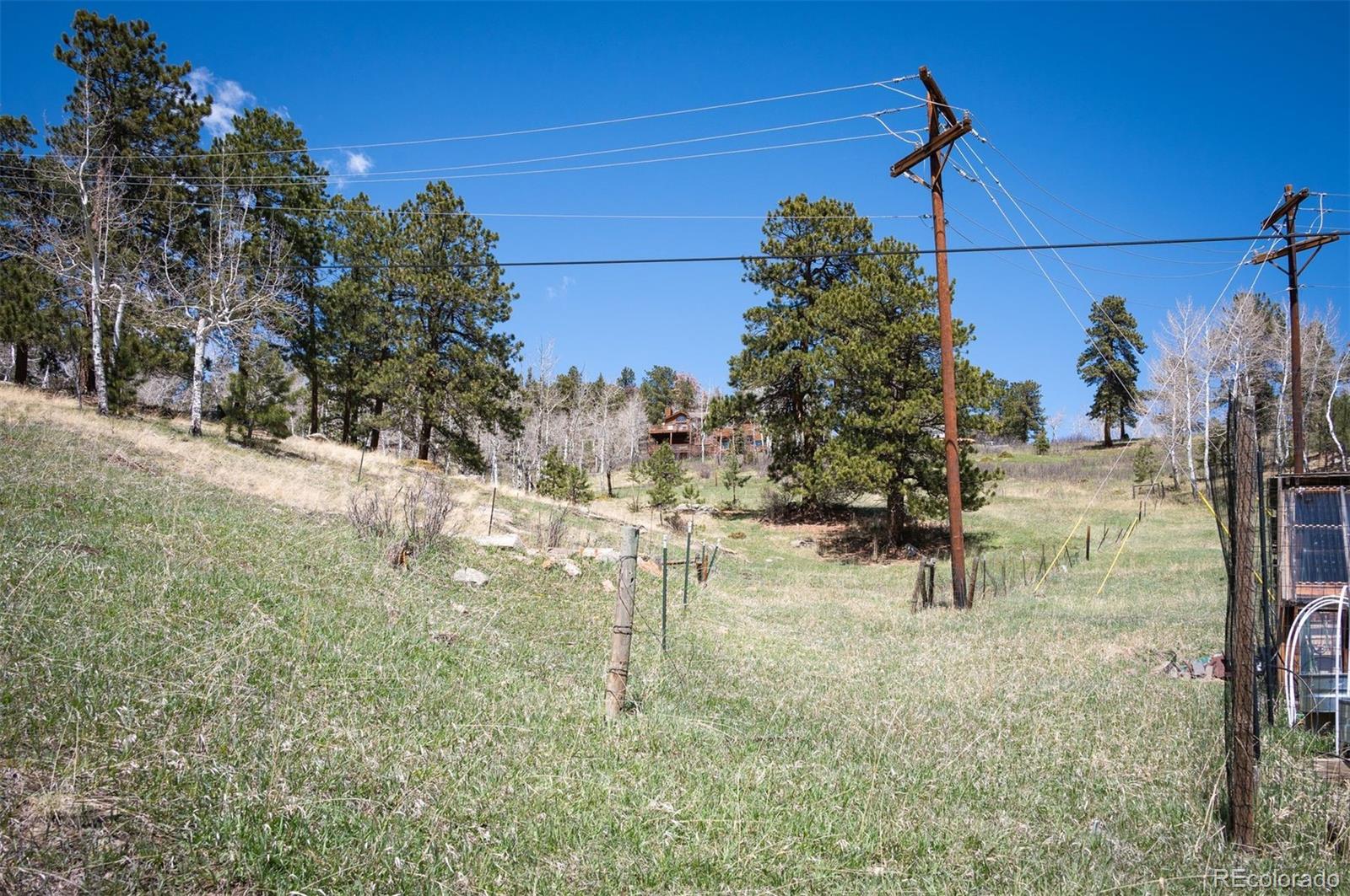 Pine Valley Road Evergreen, CO 80439 - Photo 6 of 30 a view of a yard with a tree
