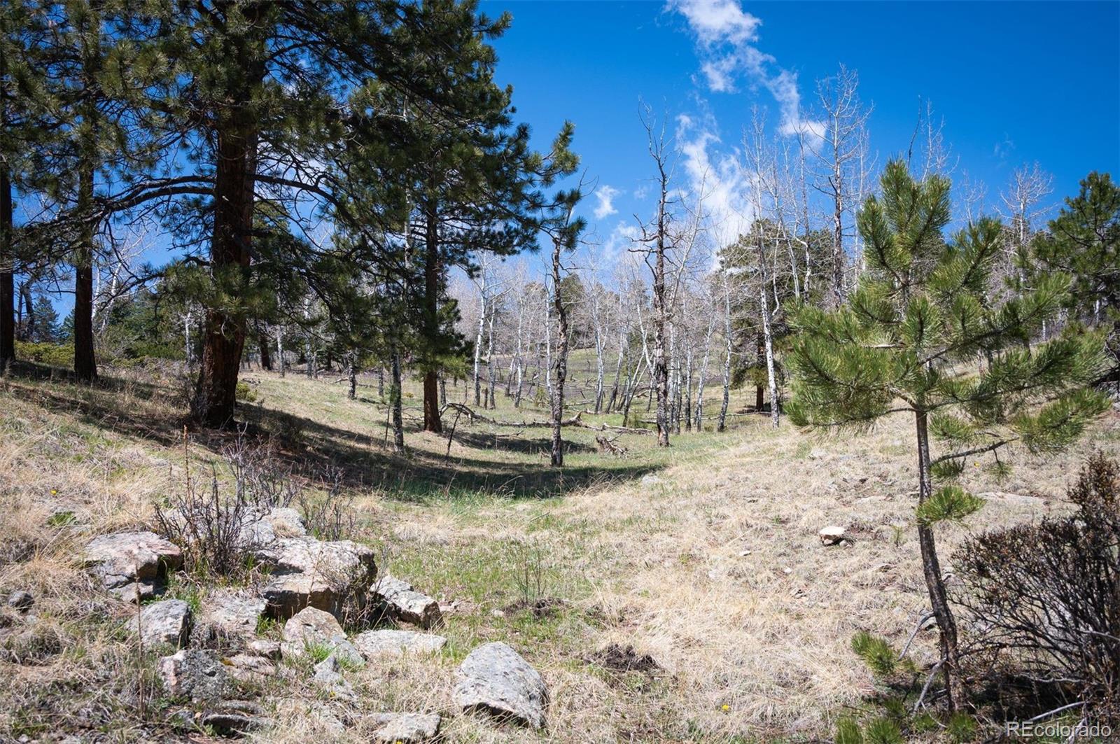 Pine Valley Road Evergreen, CO 80439 - Photo 7 of 30 a view of a yard with a tree