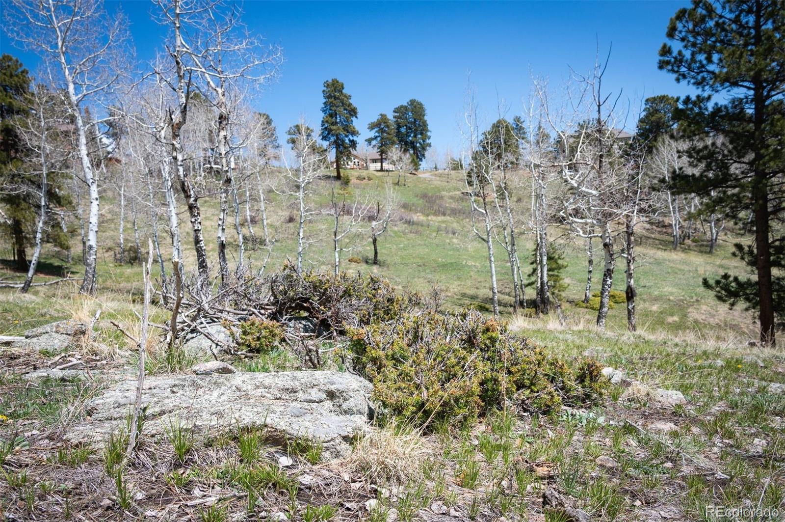 Pine Valley Road Evergreen, CO 80439 - Photo 8 of 30 a view of a yard with trees