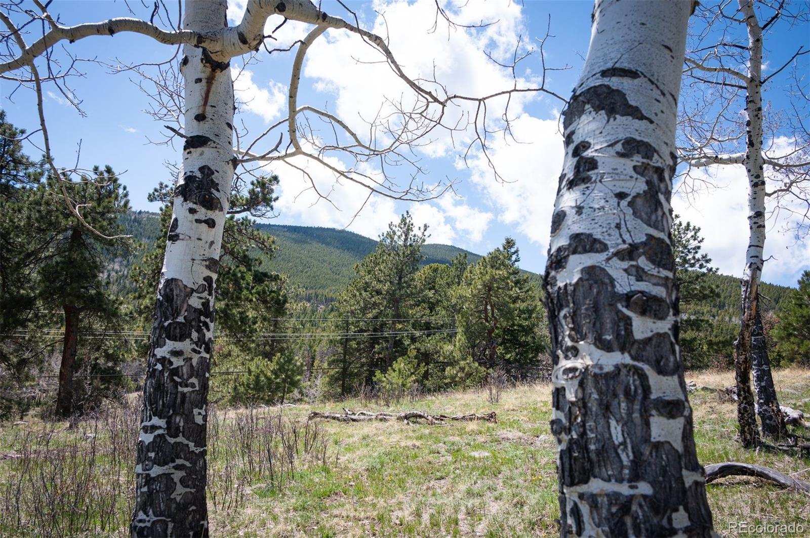 Pine Valley Road Evergreen, CO 80439 - Photo 10 of 30