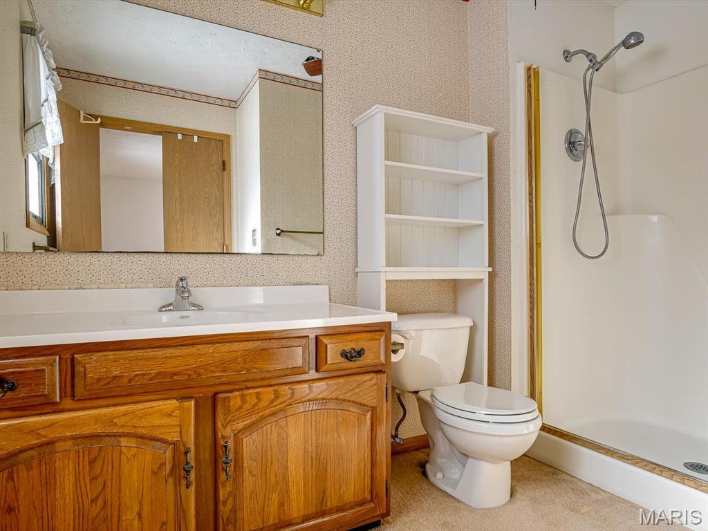 321 Amy Drive O'Fallon, IL 62269 - Photo 12 of 18