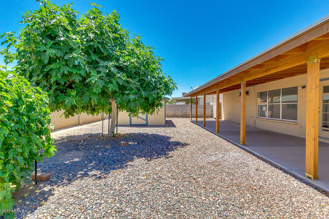 6149 Casper Road Mesa, AZ 85205 - Photo 18 of 21 Mature shade tree
