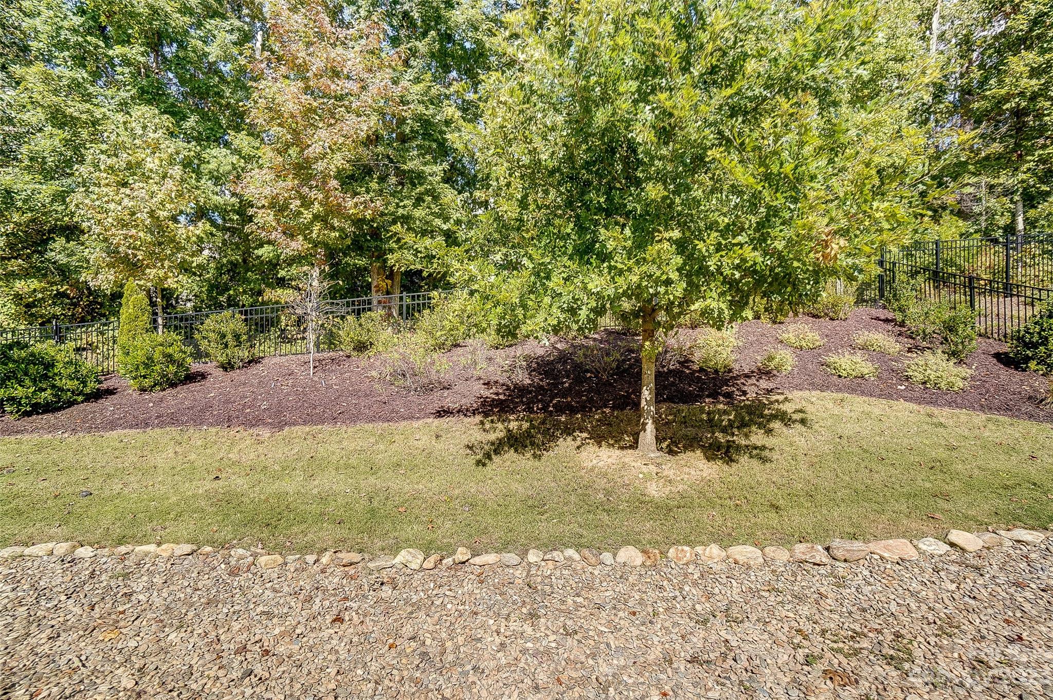 1494 Afton Way Fort Mill, SC 29708 - Photo 47 of 47 a view of a yard with an trees