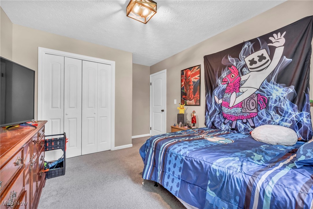 5306 Lockwood Road Madison, OH 44057 - Photo 20 of 28 Carpeted bedroom with a closet and a textured ceiling