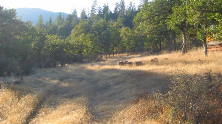Tl1300 Water Gap Road Williams, OR 97544 - Photo 6 of 14 7