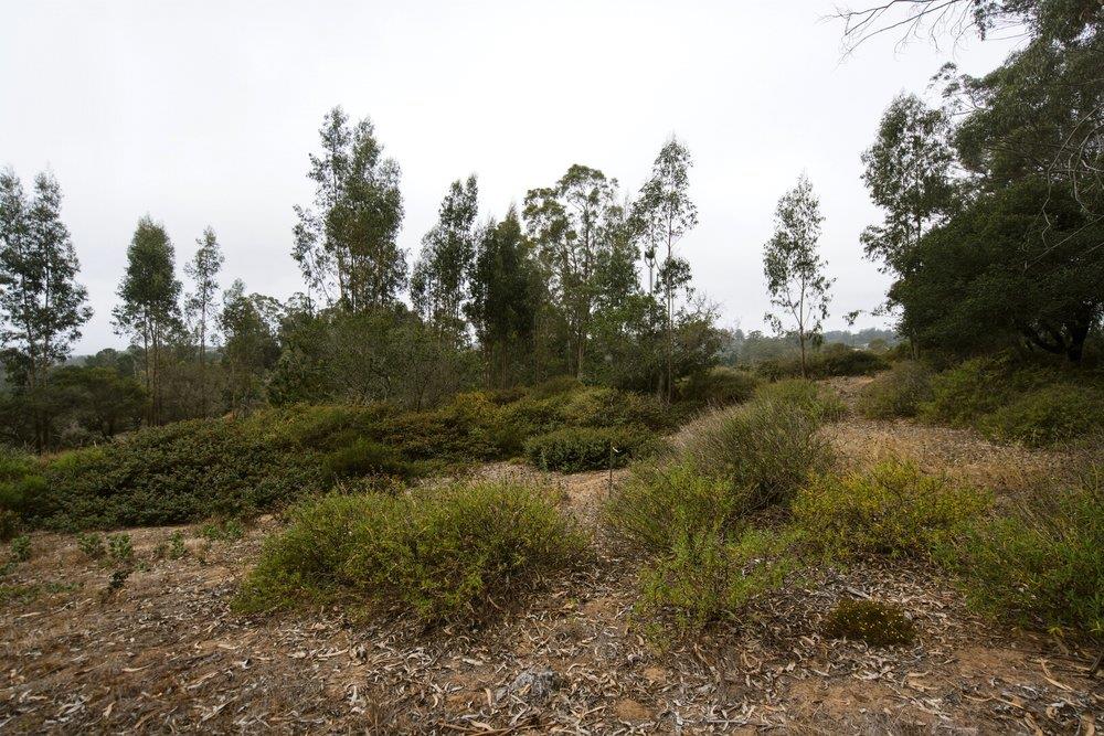 0 Valle Pacifico Road Salinas, CA 93907 - Photo 17 of 45